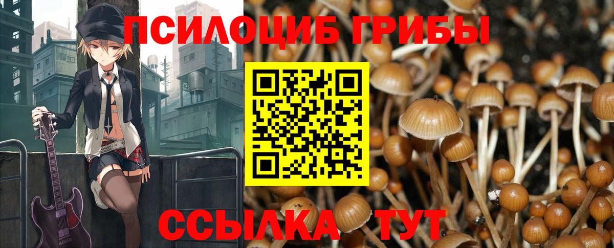 Галлюциногенные грибы Cubensis  Вход с VPN  Лыткарино 