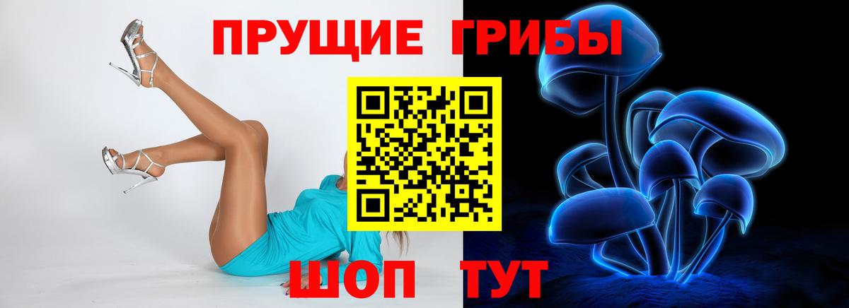 Галлюциногенные грибы Cubensis Лыткарино